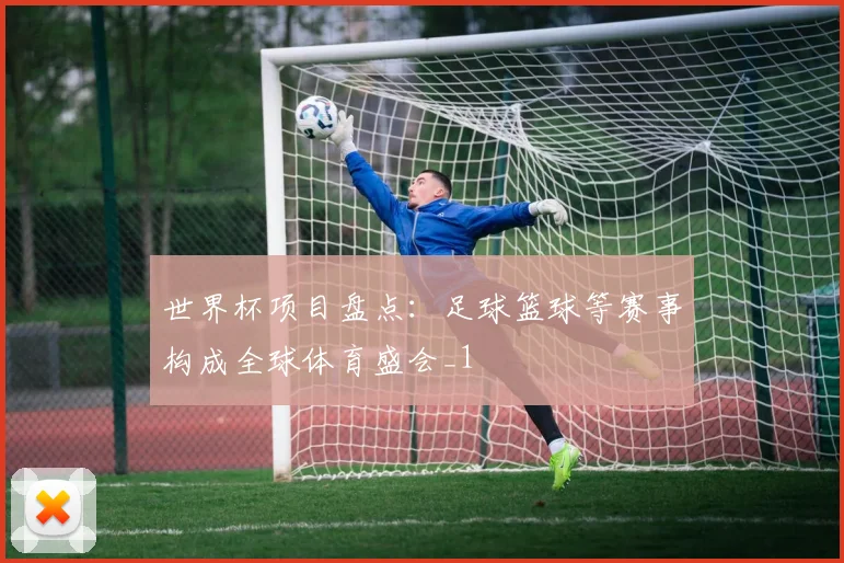 世界杯项目盘点:足球篮球等赛事构成全球体育盛会_1