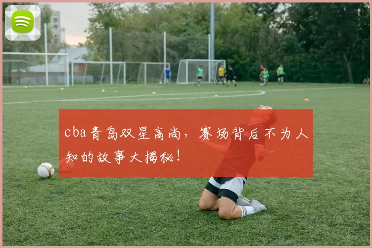 cba青岛双星高尚,赛场背后不为人知的故事大揭秘!
