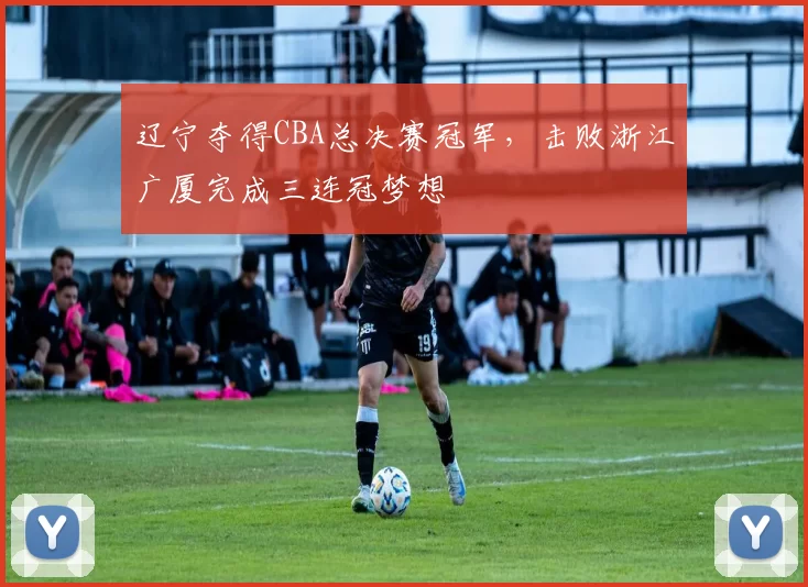 辽宁夺得CBA总决赛冠军,击败浙江广厦完成三连冠梦想