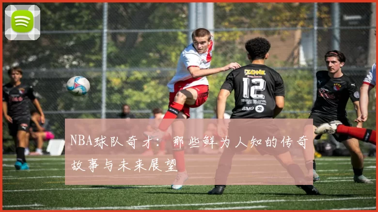 NBA球队奇才：那些鲜为人知的传奇故事与未来展望