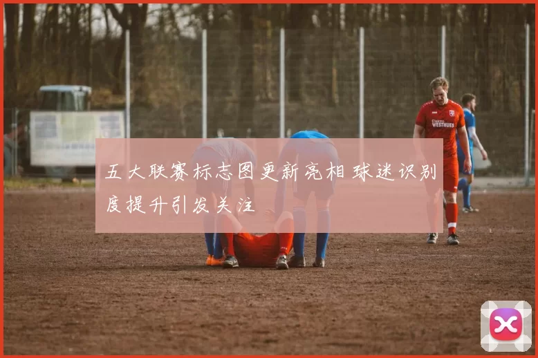 五大联赛标志图更新亮相 球迷识别度提升引发关注