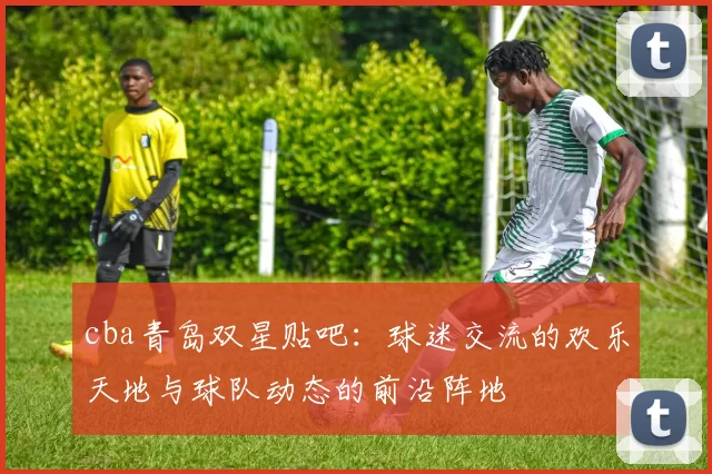 cba青岛双星贴吧：球迷交流的欢乐天地与球队动态的前沿阵地