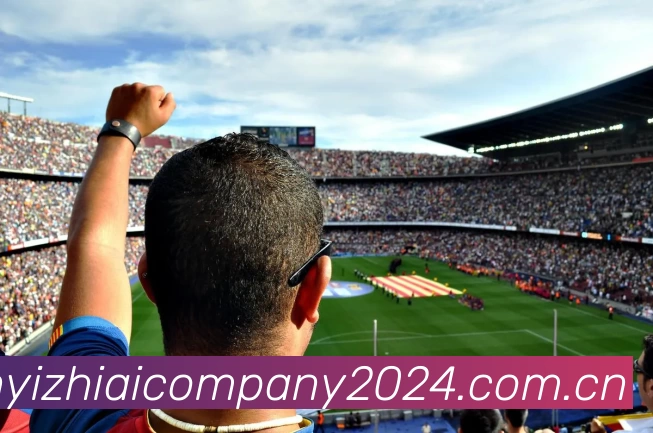 多媒体互动体验